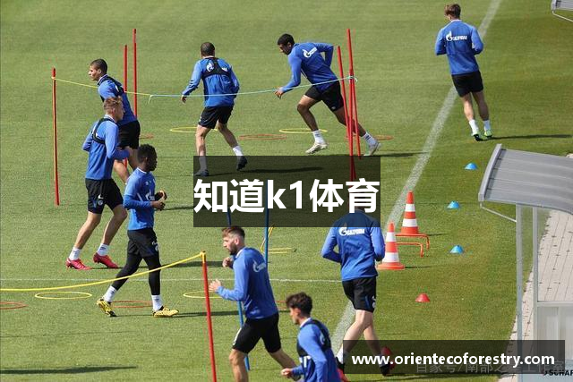 知道k1体育